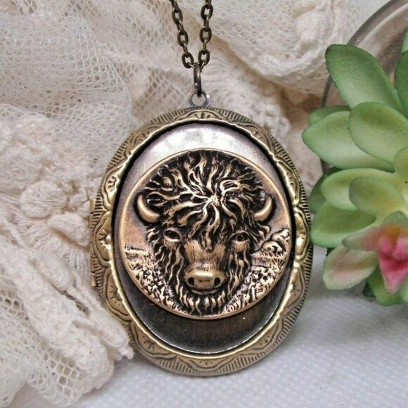 Locket Bronze Buffalo Locket Necklace Keepsake Southwest Native American gift - Picture 1 of 5